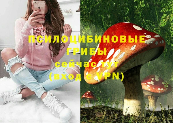 мяу мяу мука Арсеньев